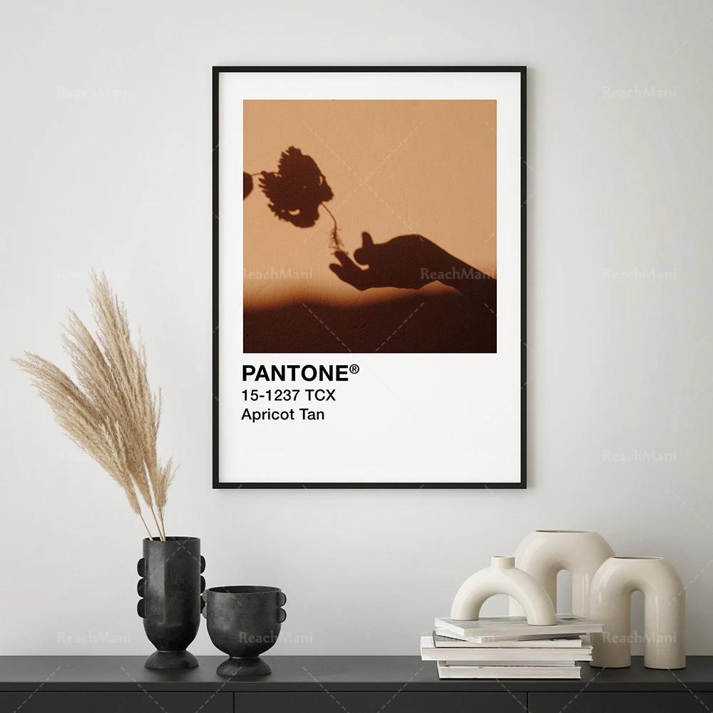 Pantone  챸  μ |   | ׸  μ |   Ʈ | 챸 ÷ н  | P